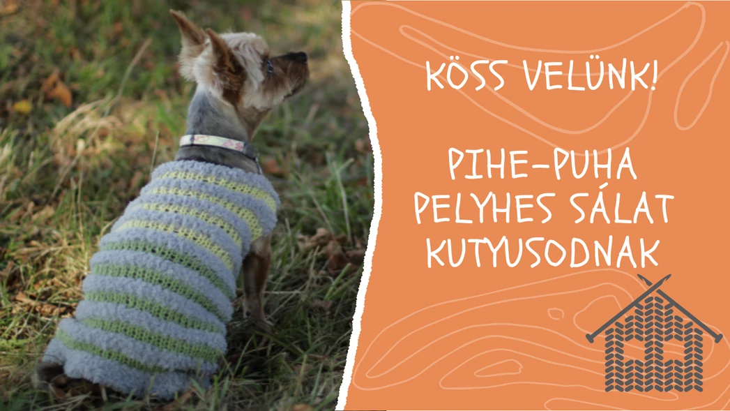 Köss velünk! Pelyhes pihe-puha kutyaruha