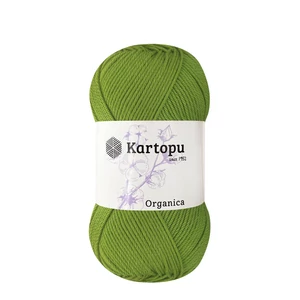 Kartopu Organica ÚJ! - 457 – KAKTUSZ