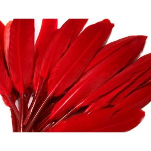 Dísz kacsa toll hossza 9-14 cm - piros