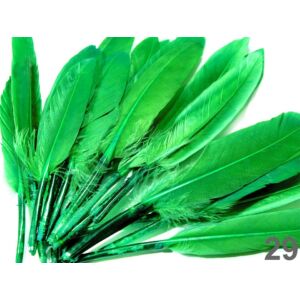 Dísz kacsa toll hossza 9-14 cm - Ír zöld