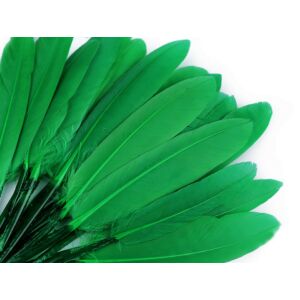 Dísz kacsa toll hossza 9-14 cm - zöld