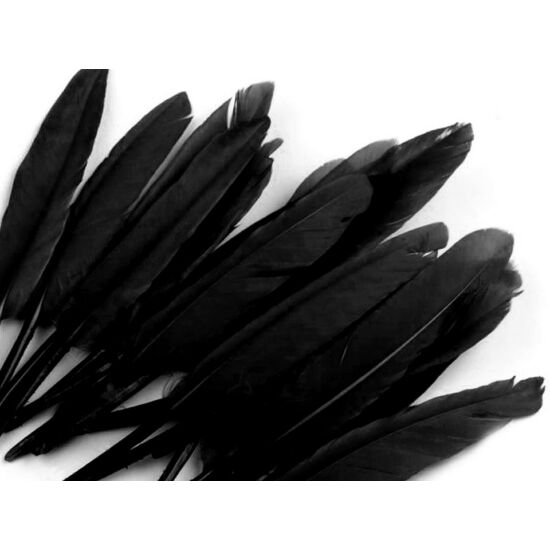Dísz kacsa toll hossza 9-14 cm - fekete