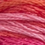 Kép 2/2 - DMC hímzőfonal - Color Variation - 4200