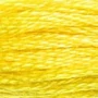 Kép 2/2 - DMC hímzőfonal - Mouline - 307