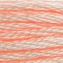 Kép 2/2 - DMC hímzőfonal - Mouline - 967
